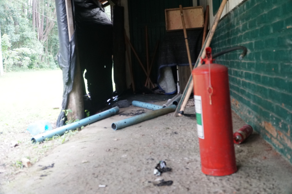 Foto: Rian Lacerda (Diário) - 