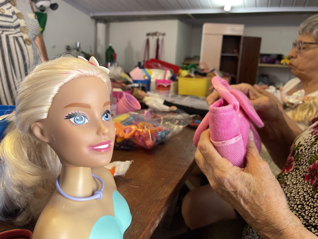 Fotos: Bibiana Pinheiro (Diário) - 