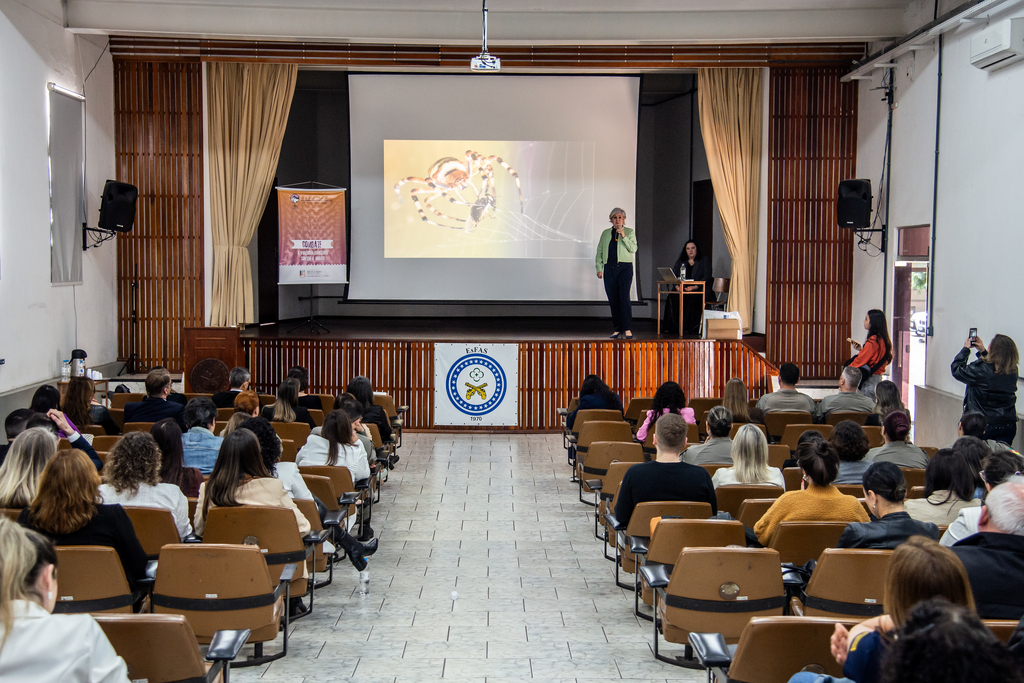 Tribunal de Justiça traz a Santa Maria debate sobre políticas e redes de enfrentamento à violência contra a mulher