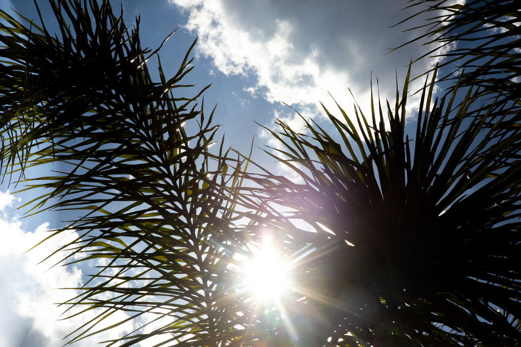 Foto: Beto Albert (Arquivo Diário) - 