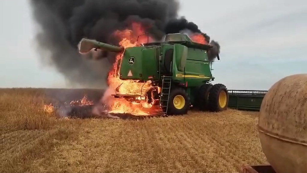 Foto: Reprodução - 