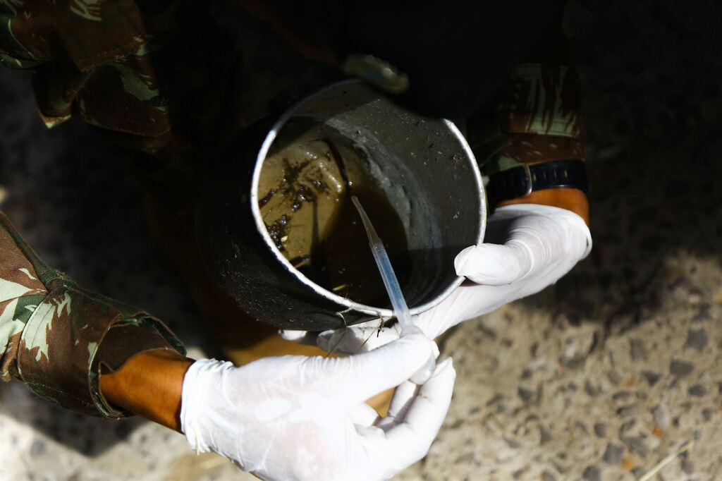 título imagem Secretaria da Saúde promoverá ação contra a dengue no sábado em Santa Maria; veja como participar