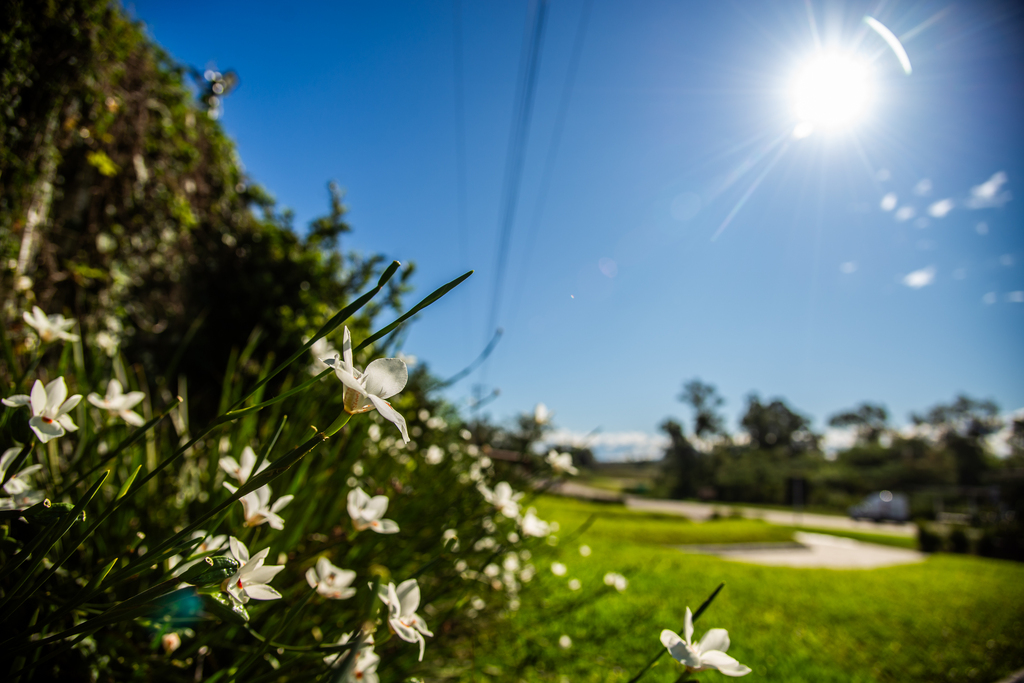 Foto: Vinicius Becker - 