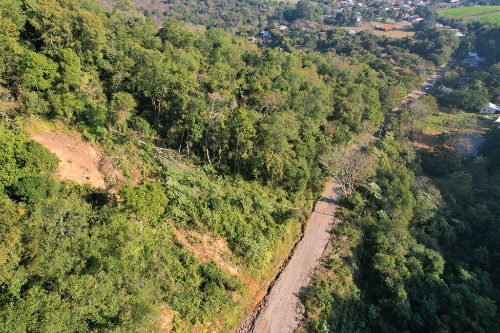 Foto: Tales Trindade (Diário) - 