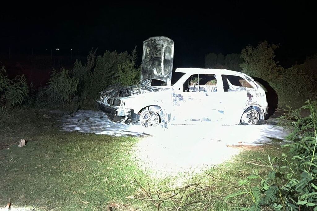 título imagem Fogo destrói automóvel e assusta motoristas em rodovia da região