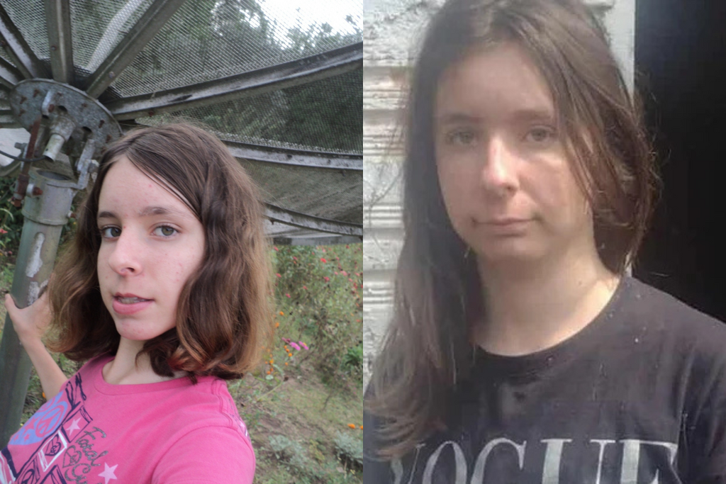 Treze anos depois de viralizar com foto em antena parabólica, Mônica Trintin volta às redes e mobiliza ajuda após enchentes no RS