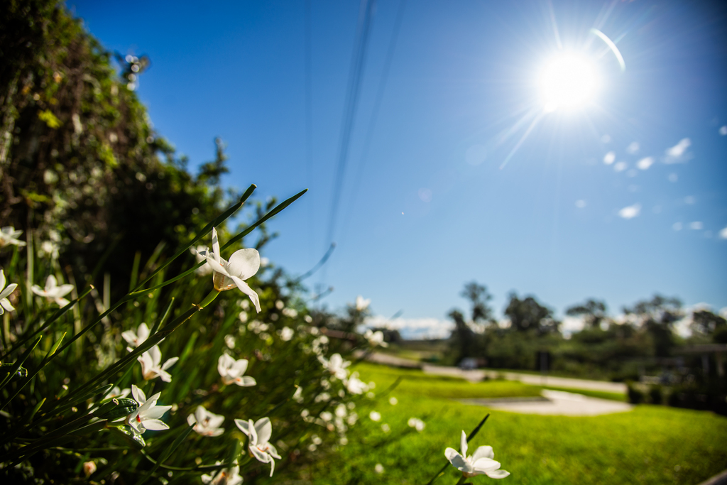 Sol e calor marcam a quinta-feira em Santa Maria; chuva retorna no fim de semana