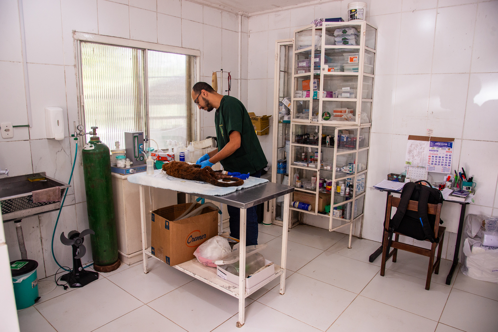 Foto: Vinícius Becker (Diário) - 