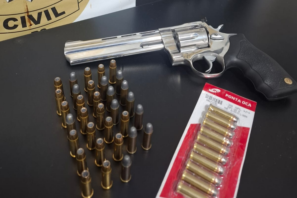 título imagem Polícia Civil apreende arma e munições em propriedade rural de Itaara