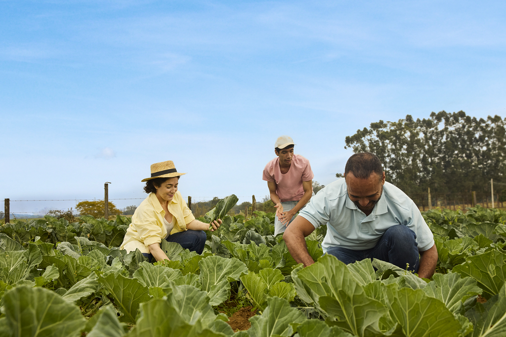 Créditos: Victor Juliano - 