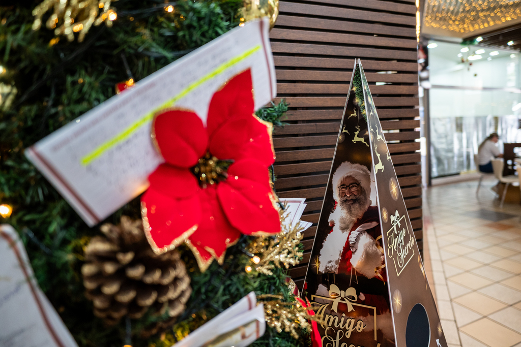 Foto: Vinicius Becker (Diário) - 