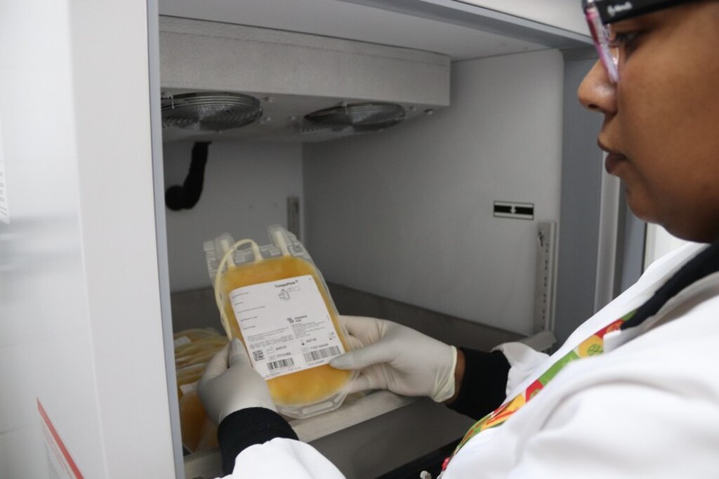 Hemocentro do RS moderniza armazenamento de plasma destinado à produção de medicamentos derivados de sangue