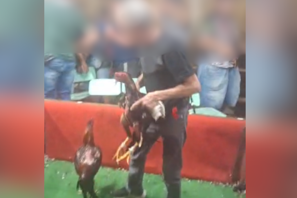 Foto: Redes Sociais (Reprodução) - 