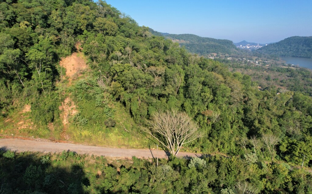 Foto Tales Trindade, arquivo, 11/07/2025 - 