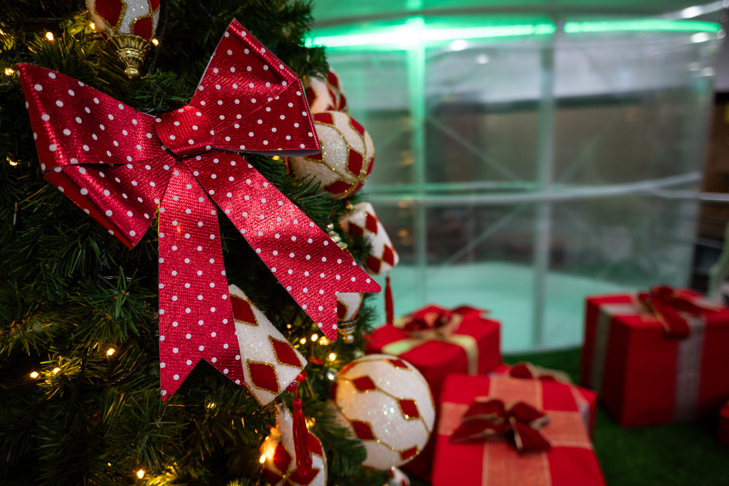 Foto: Vinicius Becker (Diário) - 