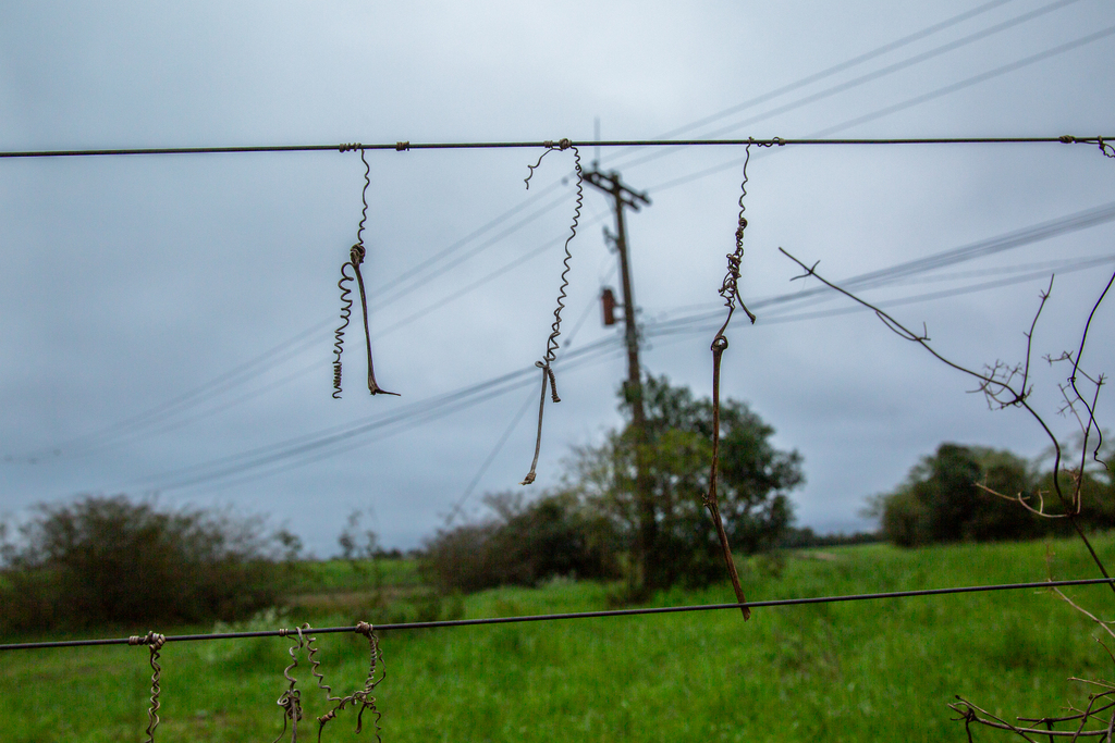 Inmet emite alerta de temporal para o Rio Grande do Sul com risco de granizo