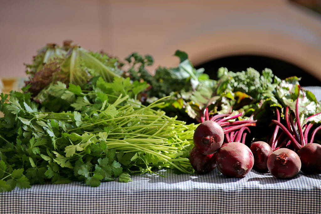 Foto: Renan Mattos (Arquivo/Diário) - 