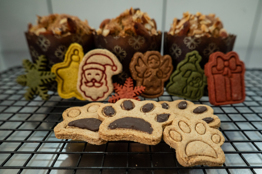 Fotos: Vinicius Becker (Diário) - Cardápio natalino inclui panetones doces e salgados, brownies de alfarroba e biscoitos temáticos produzidos especialmente para pets.