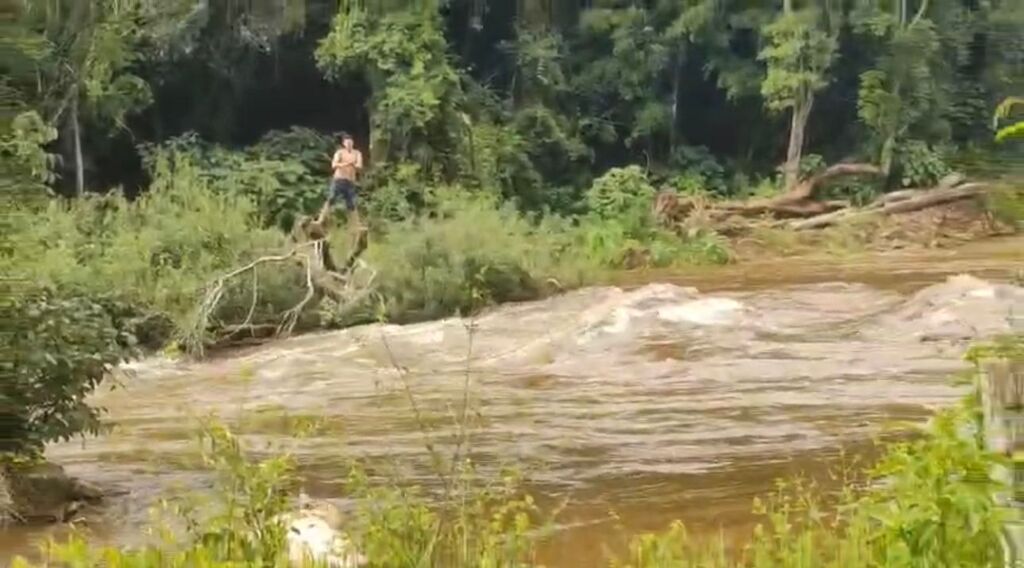 VÍDEO: Homem sobe em árvore para escapar de enxurrada em São Martinho da Serra