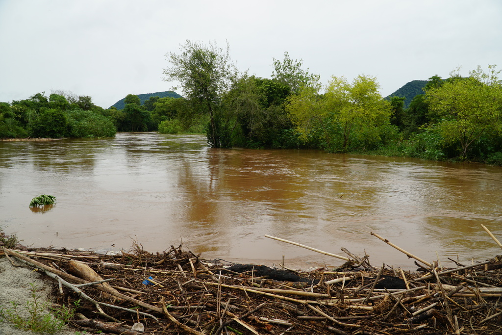 Foto: Rian Lacerda (Diário) - 