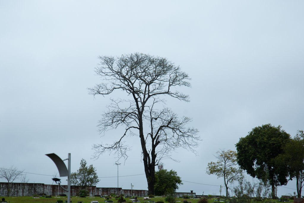 Foto: Vinicius Becker (Diário) - 