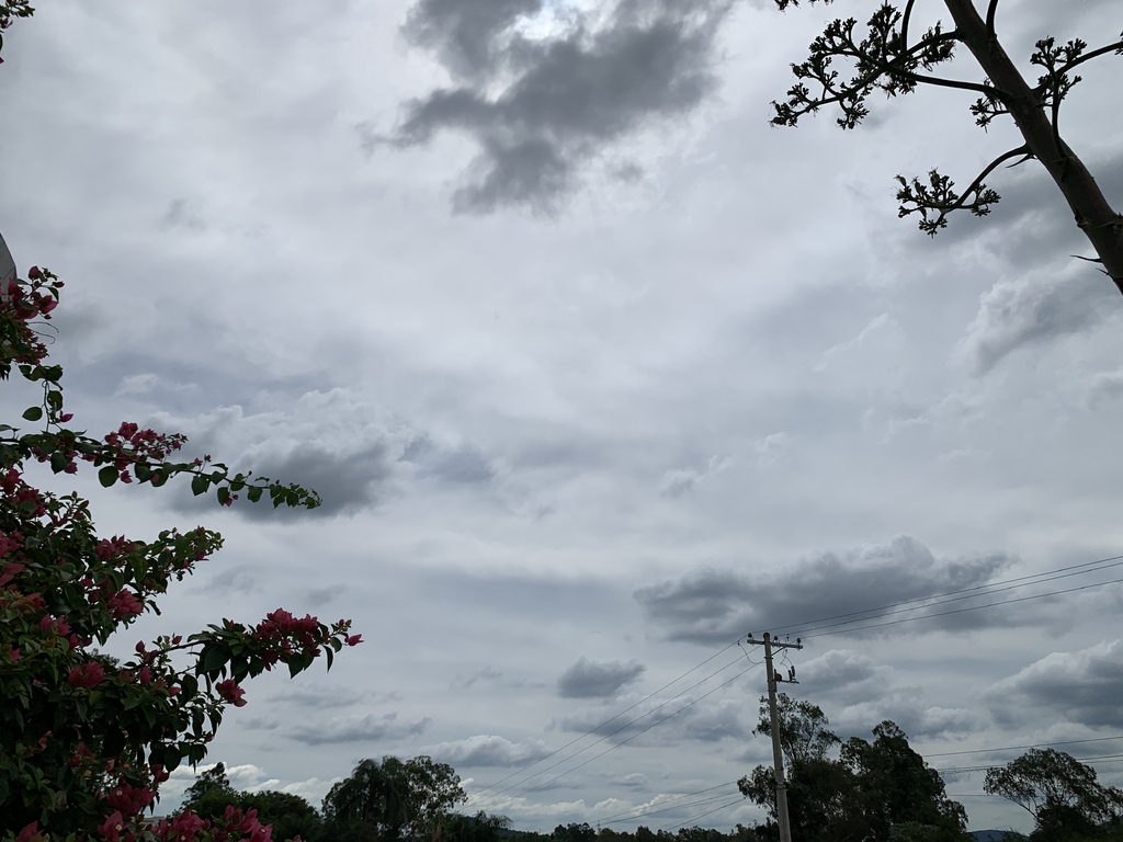 Foto: Bibiana Pinheiro (Arquivo Diário) - 