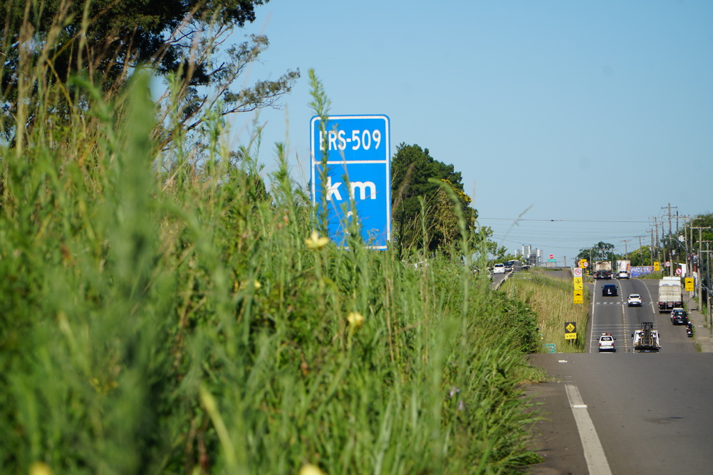 Mato alto encobre placas e passarelas nas faixas de Camobi às vésperas de vestibular e jogo do Inter-SM