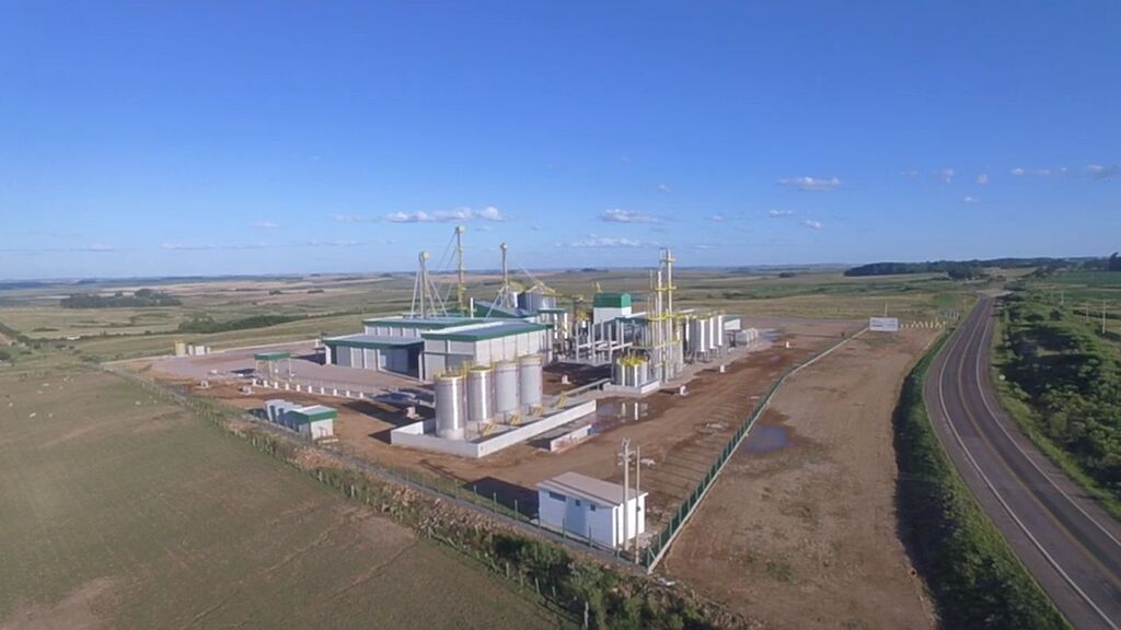 ANP libera operação da usina de etanol de Santiago, a 1ª do Brasil que usa trigo