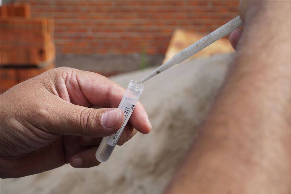 Santa Maria apresenta redução expressiva no número de casos de dengue após dois anos