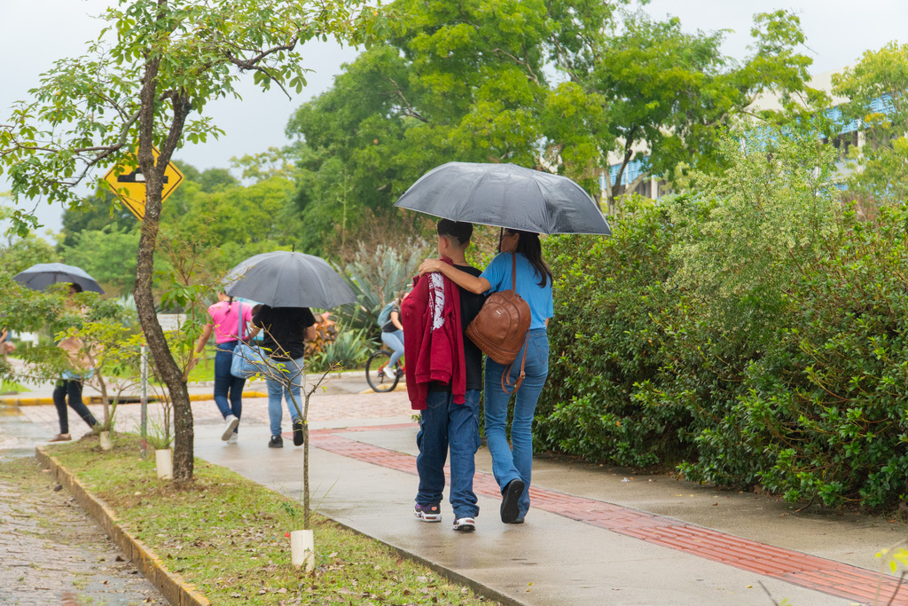 Foto: Beto Albert/Arquivo Diário - 