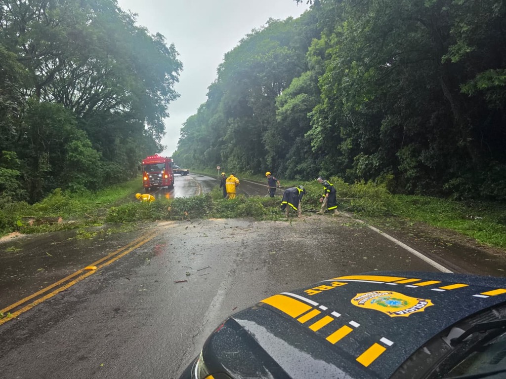 Foto: PRF/Divulgação - 