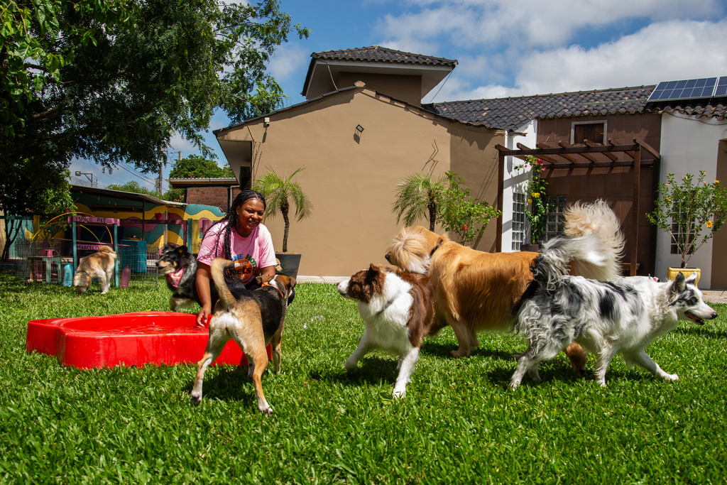 Férias impulsionam aumento na procura por hotéis e creches para pets em Santa Maria