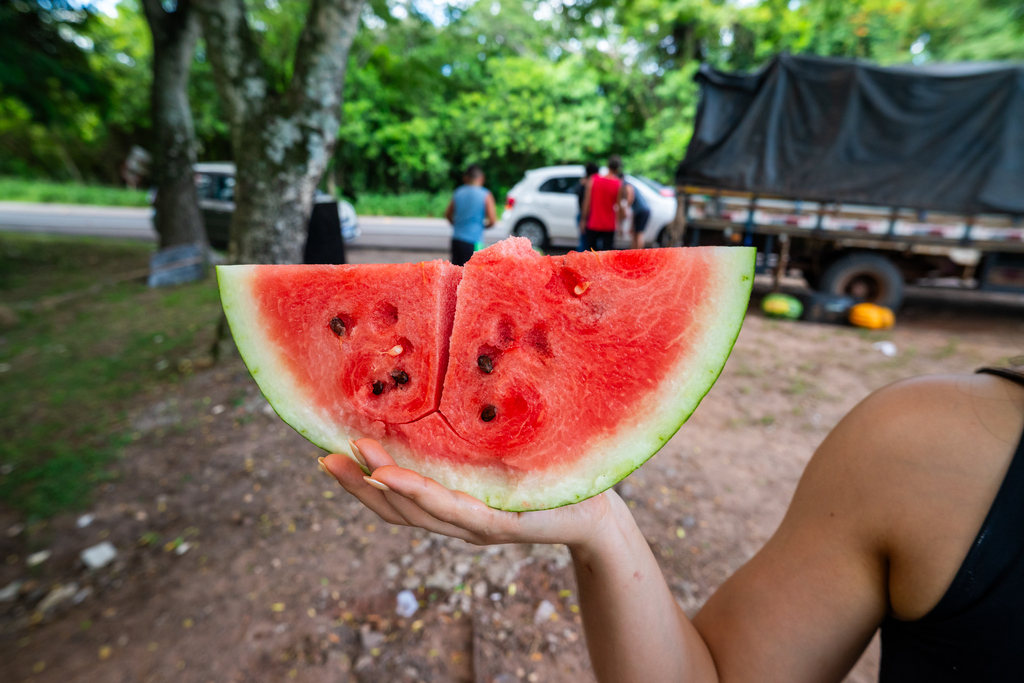 Mesmo com seca no início da safra, melancia mantém espaço no mercado local