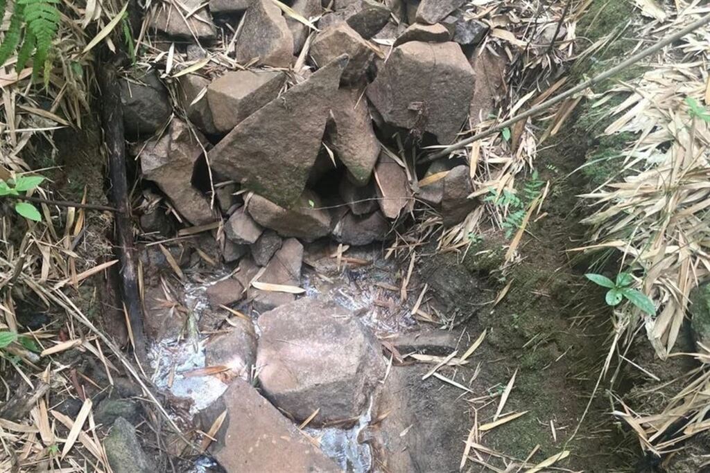 Foto: Polícia Civil (Divulgação) - O corpo da adolescente foi encontrado em uma área de difícil acesso de mata fechada, a cerca de 150 metros da residência onde o pai morava à época do desaparecimento, em Caraá