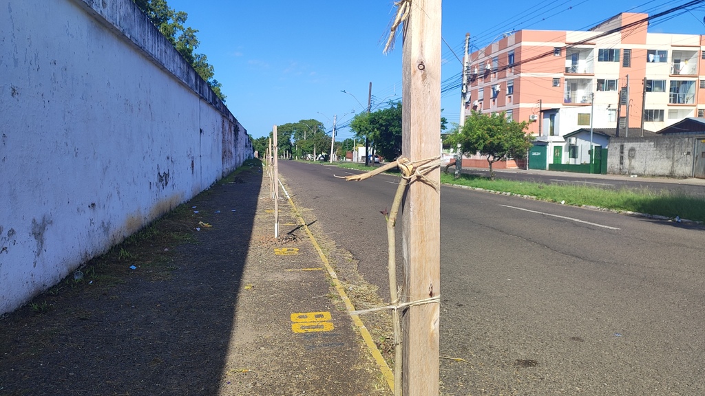 Foto: Mateus Rossato (Diário) - 