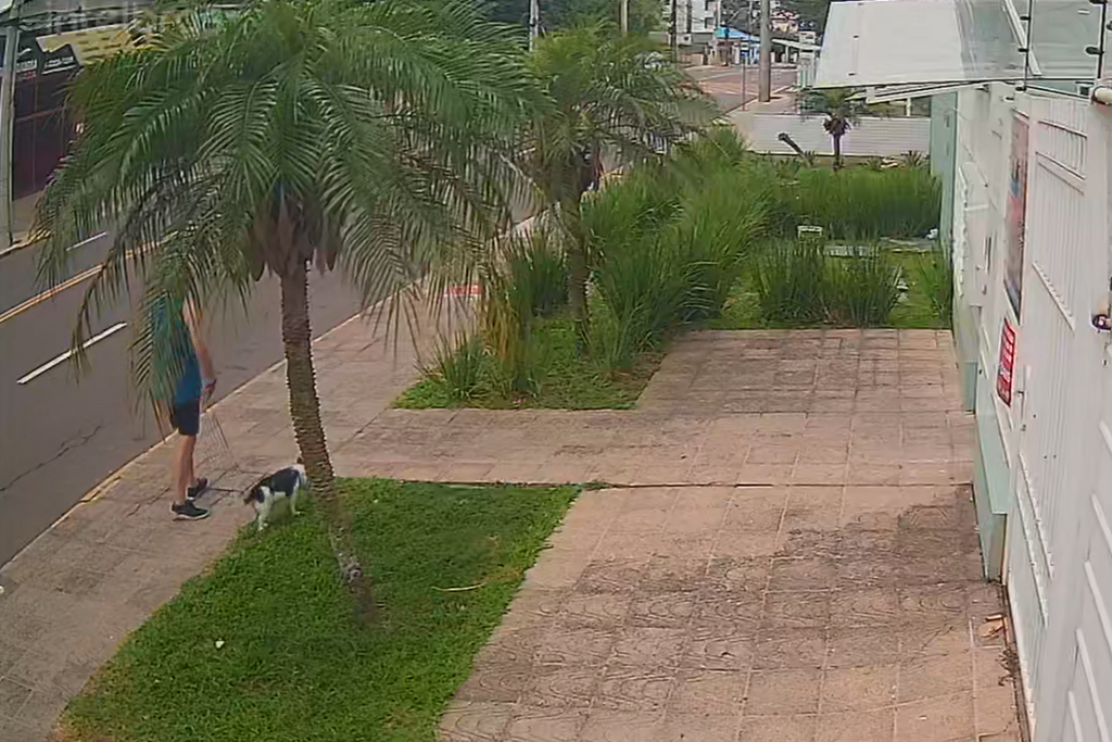 Foto: Reprodução - 