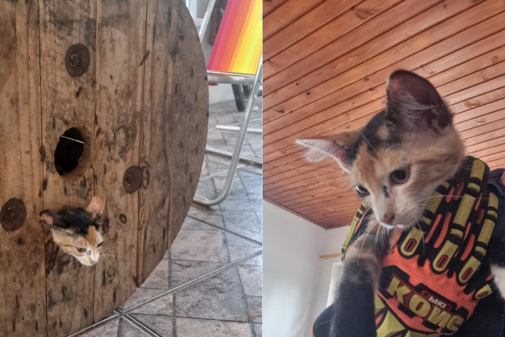 Foto: Guarnição de Serviço 4°PelBM - 