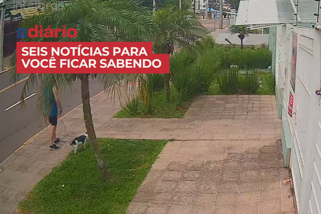  Delegado explica por que motorista de 45 anos sem CNH não foi autuado em flagrante após atropelamento em Santa Maria e outras notícias