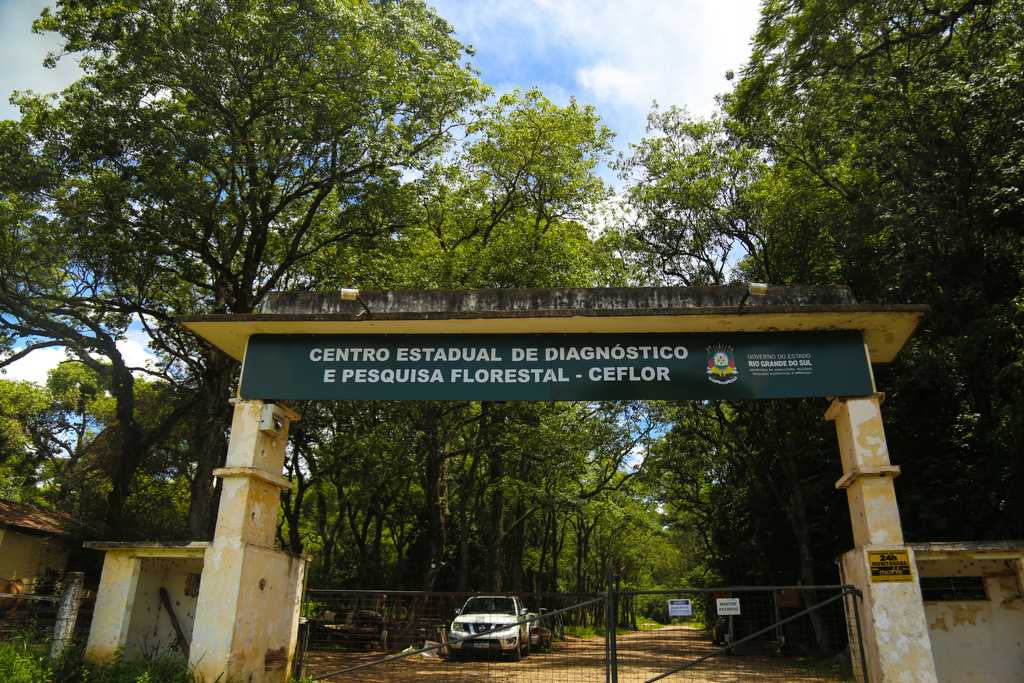 Foto: Vitória Sarturi (Diário) - 