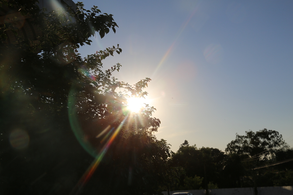 Foto: Thais Immig (Diário) - 