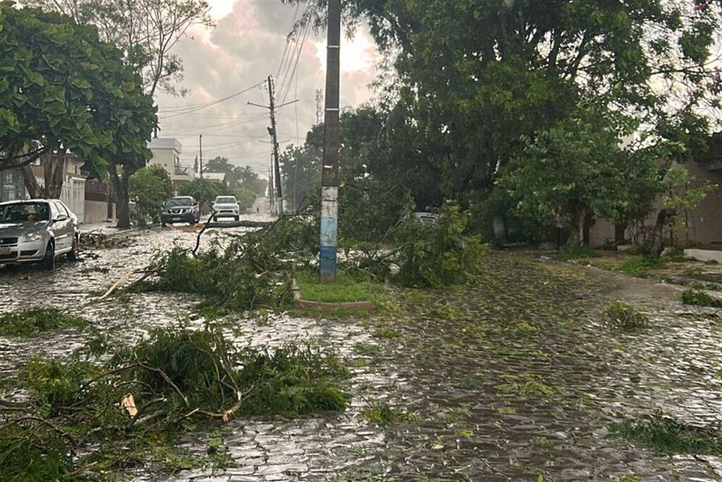 Chuva intensa e vento forte provocam estragos em Restinga Sêca