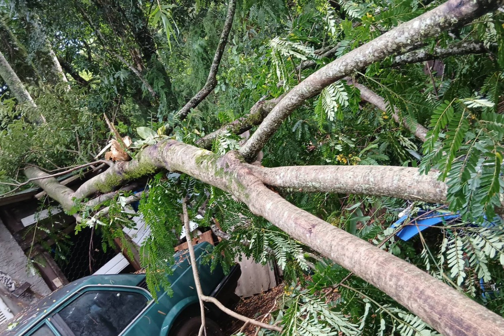 Temporal causa danos em casas de três famílias e mobiliza Defesa Civil em Itaara