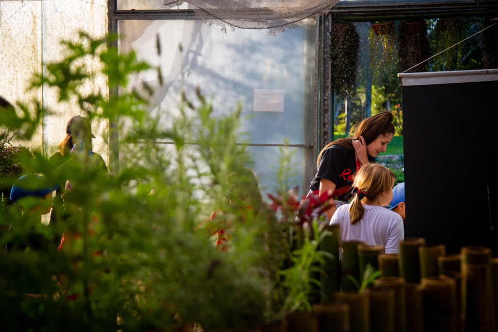 Foto: Nathália Schneider (Arquivo/Diário) - 