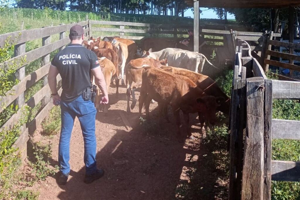 Foto: Polícia Civil (Divulgação) - O inquérito policial apura uma série de crimes ocorridos em municípios da Fronteira Oeste e da região Central, incluindo Dom Pedrito, Santana do Livramento, Rosário do Sul e Júlio de Castilhos, entre outros.