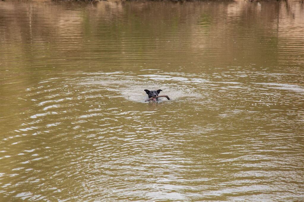 Santa Maria volta a ter ponto impróprio para banho em novo boletim da Fepam