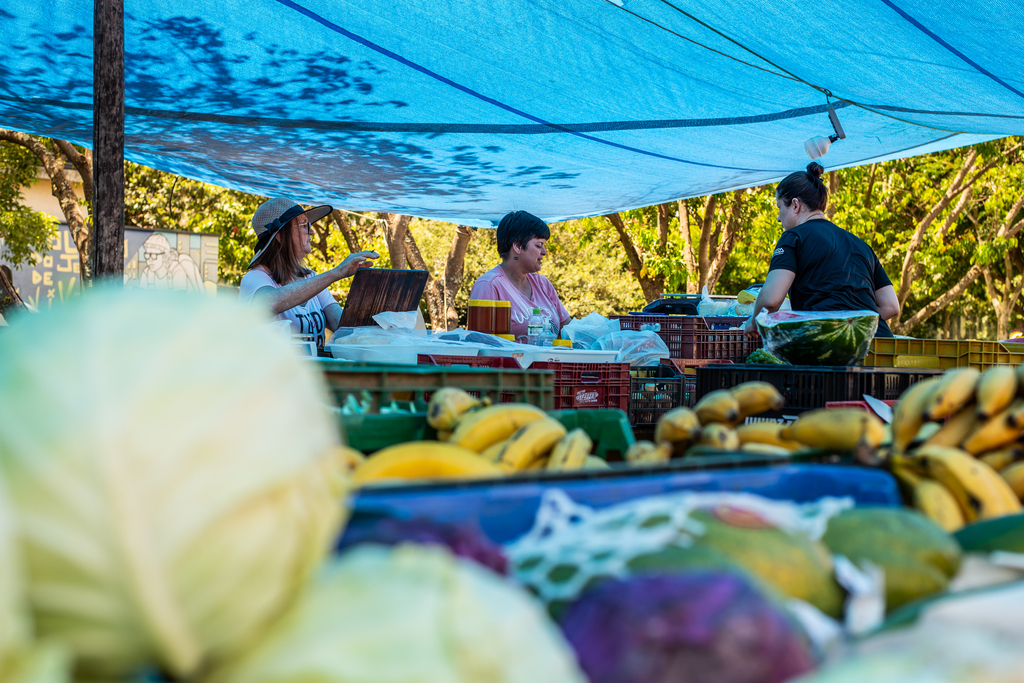 Santa Maria tem mais de 15 feiras com frutas, verduras e produtos coloniais até sábado; veja o cronograma