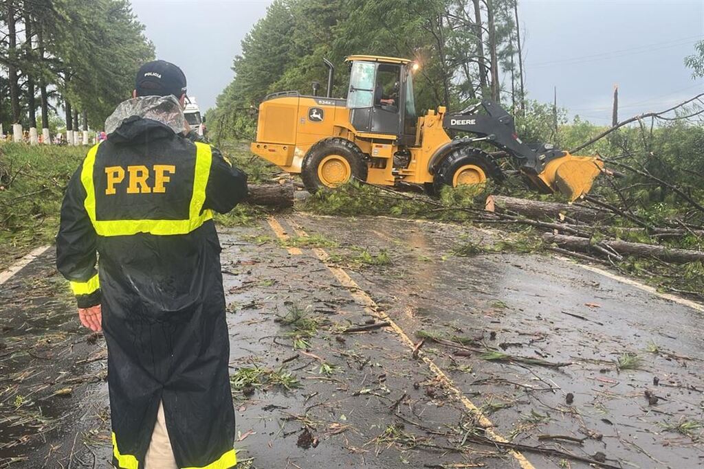 título imagem Chuva provoca queda de árvores e interrompe trânsito no interior de Júlio de Castilhos