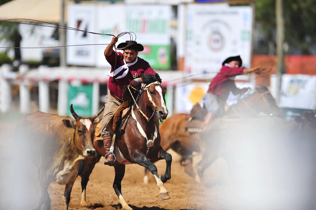 Rodeio Internacional do Conesul inicia montagem das estruturas em Santa Maria