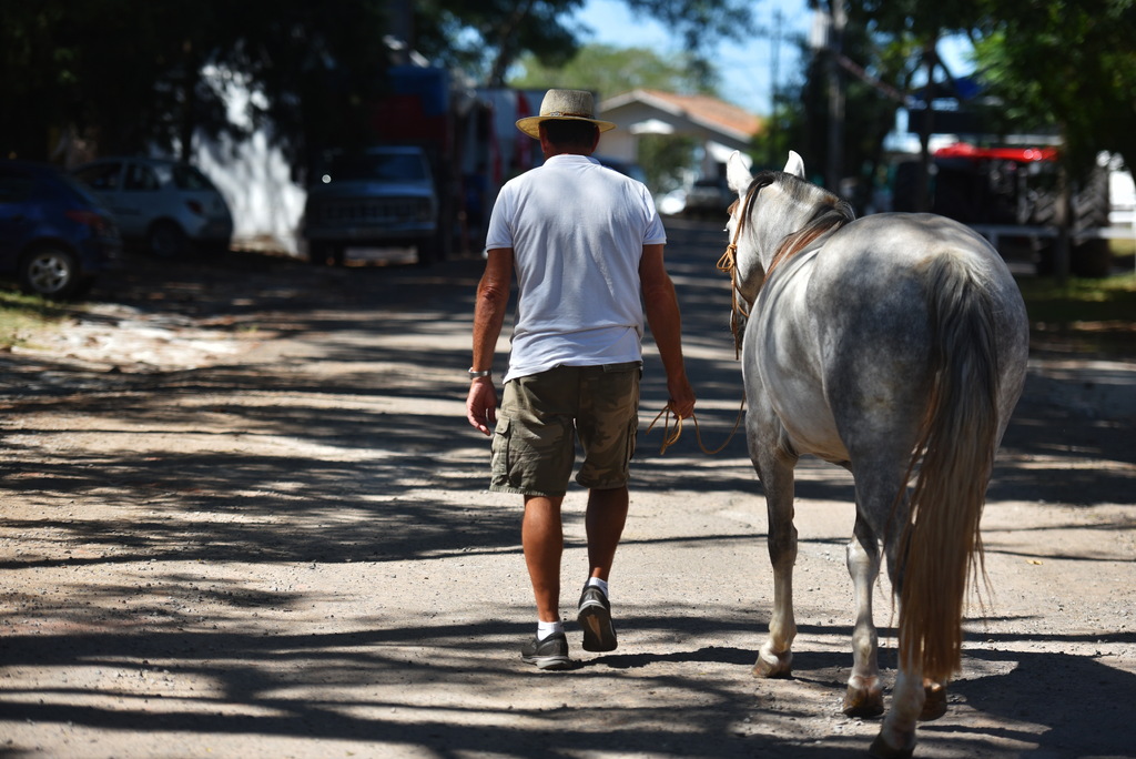 Rodeio Internacional do Conesul inicia montagem das estruturas em Santa Maria