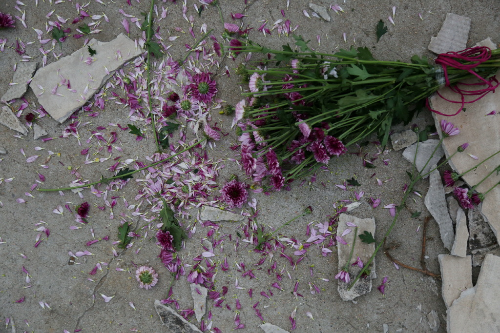 Feminicídios no RS crescem 53% no início de 2026, aponta levantamento de Frente Parlamentar